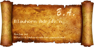 Blauhorn Adrián névjegykártya